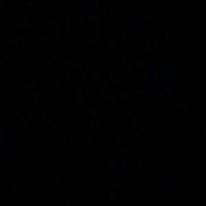 Meet your Posher, Zion